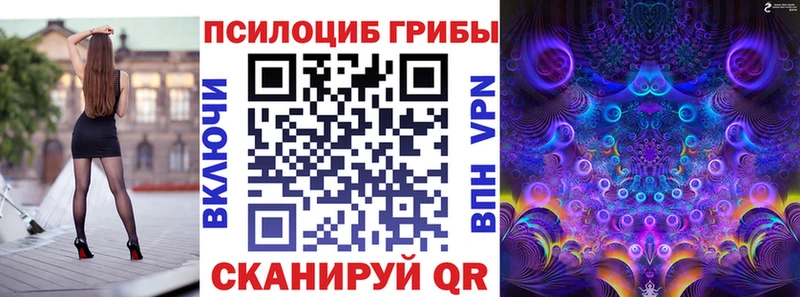 Псилоцибиновые грибы мицелий  наркошоп  Тавда 